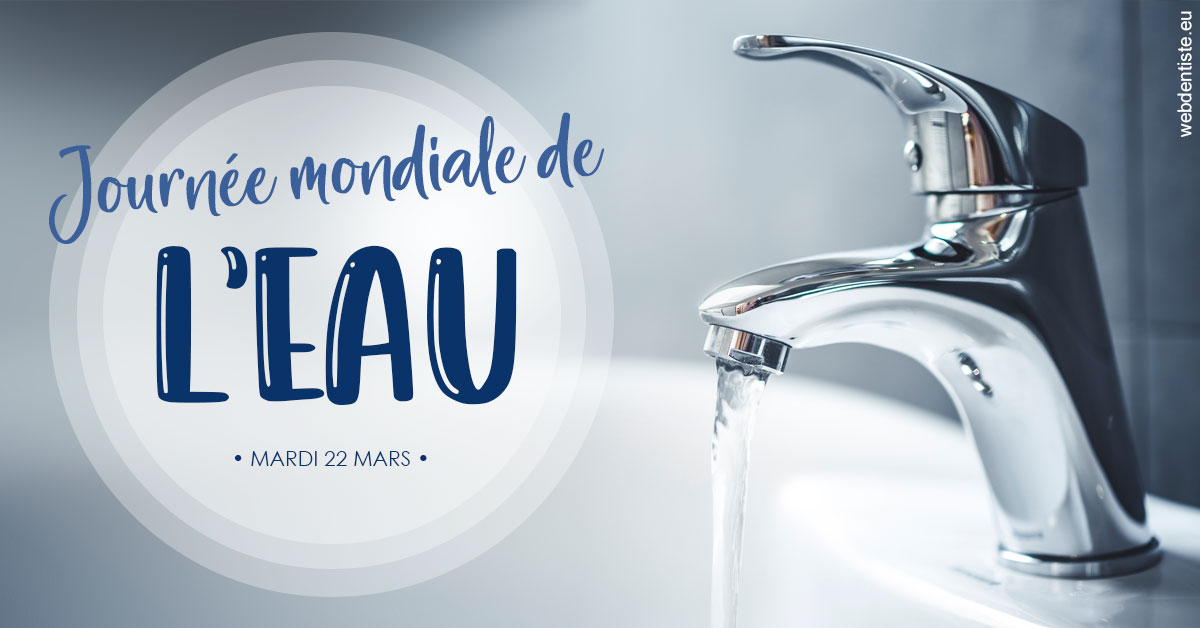 https://www.cabinetdentairepointerouge.fr/La journée de l'eau 2