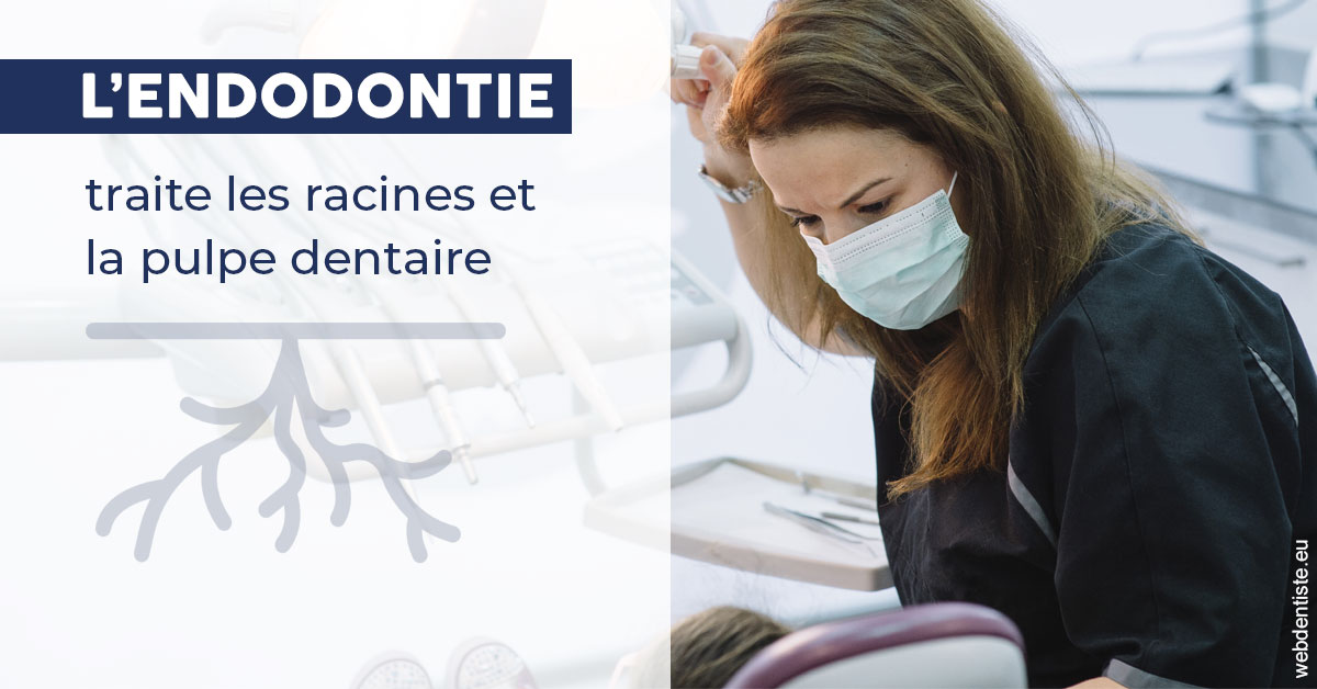 https://www.cabinetdentairepointerouge.fr/L'endodontie 1