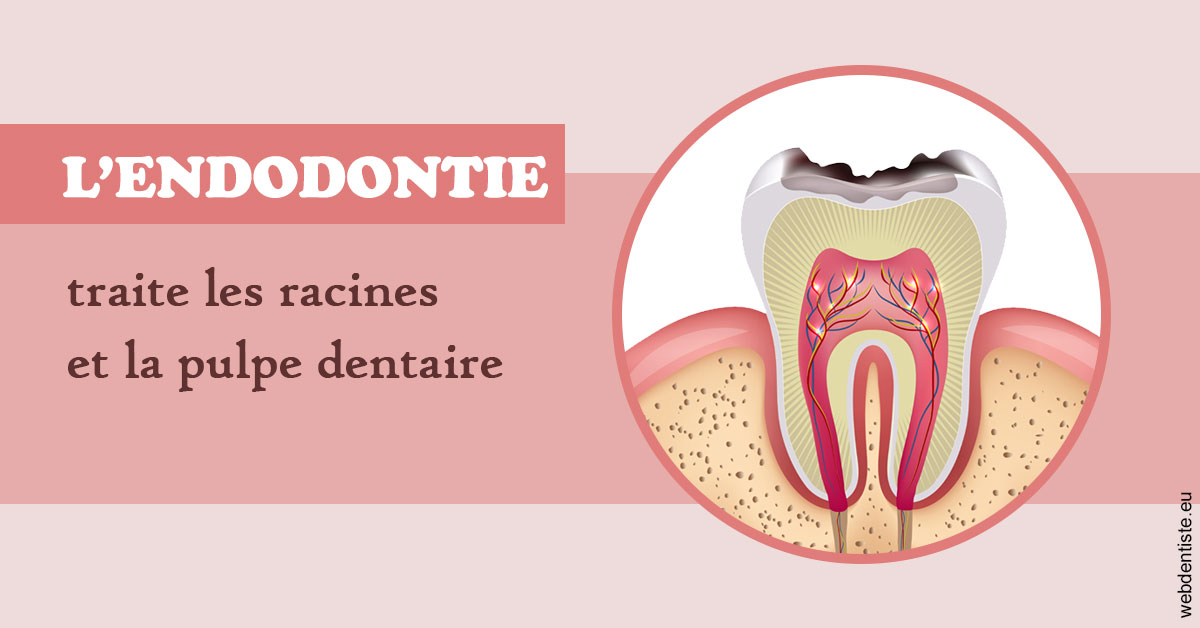 https://www.cabinetdentairepointerouge.fr/L'endodontie 2