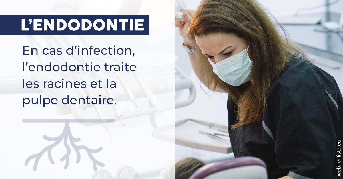 https://www.cabinetdentairepointerouge.fr/L'endodontie 1