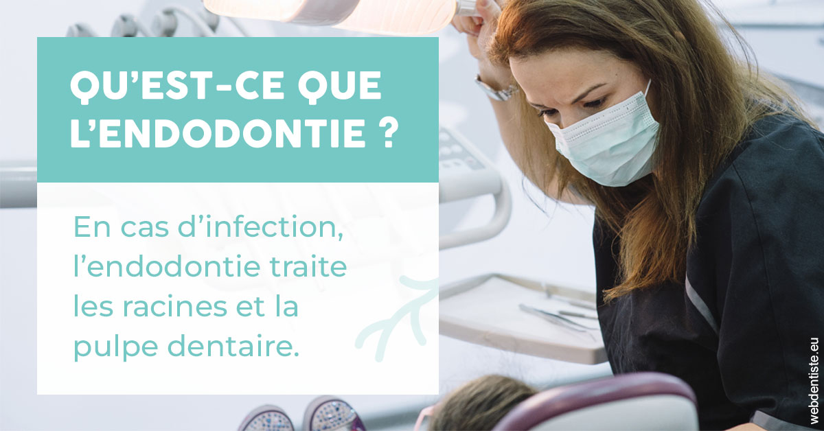 https://www.cabinetdentairepointerouge.fr/2024 T1 - Endodontie 01